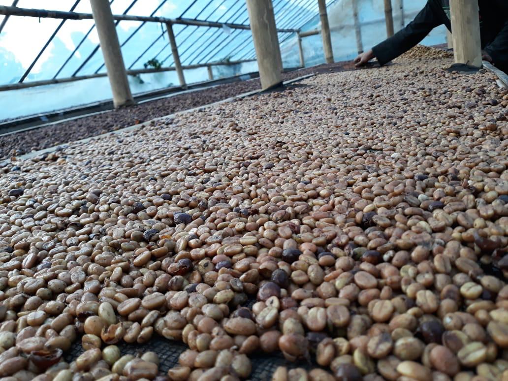 Foto Insan Agro 3