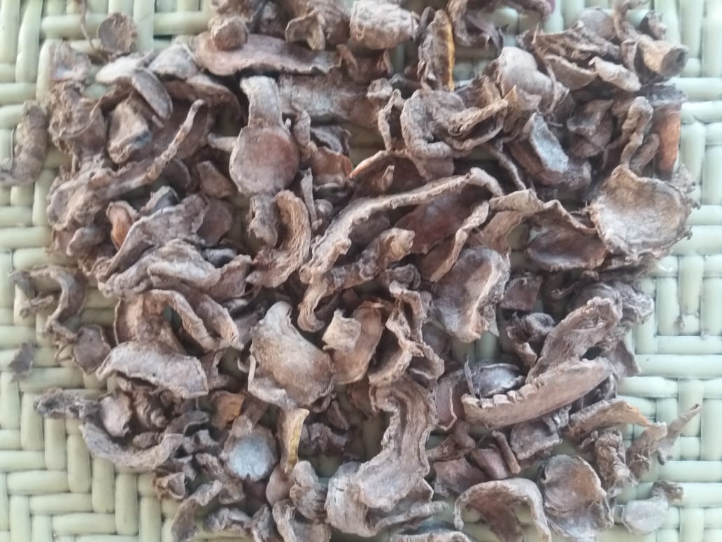 Foto Insan Agro 8