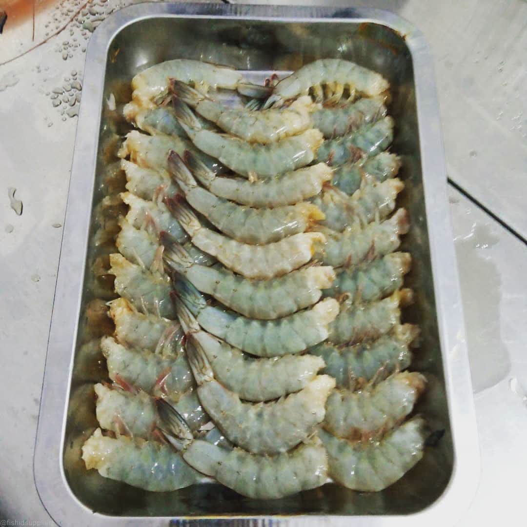 Foto Fish ID 3